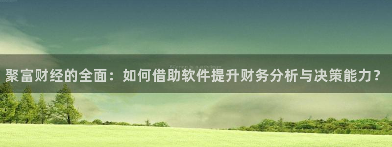 巅峰国际电子娱乐：聚富财经的全面：如何借助软件提升财务分析与决策能力？
