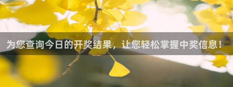 巅峰国际app登录入口下载：为您查询今日的开奖结果，让您轻松掌握中奖信息！