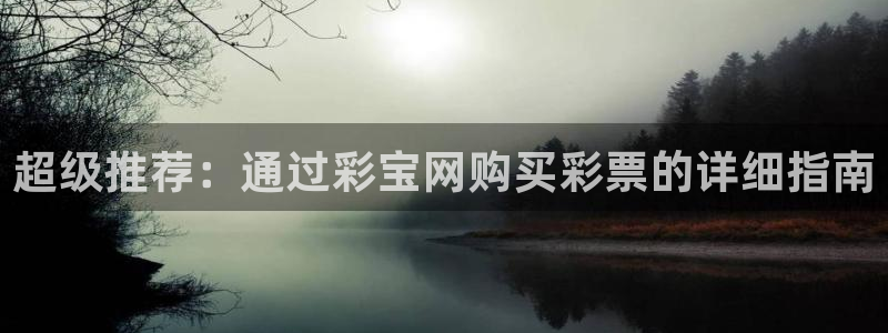 巅峰国际3官网：超级推荐：通过彩宝网购买彩票的详细指南